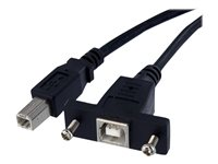 StarTech.com Cable USB 30 cm monte sur panneau B vers B - F/M - Câble USB - USB type B (F) pour USB type B (M) - USB 2.0 - 30 cm - moulé, vis moletées - noir - pour P/N: USB2HAB10, USB2HAB15, USB2HAB30AC, USB2HAB50AC, USB2HAB6, USB2HABM1, USB2HABM6RA USBPNLBFBM1