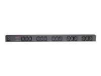 PDU en rack de base APC Zero U - Unité de distribution d'alimentation (rack-montable) - CA 120/208/230 V - entrée : IEC 60320 C20 - connecteurs de sortie : 15 (power IEC 60320 C13) - 0U - 2.5 m cordon - noir - pour P/N: AR3106SP, SMX1000C, SMX1500RM2UC, SMX1500RM2UCNC, SMX750C, SMX750CNC, SRT5KRMXLW-TW AP9572