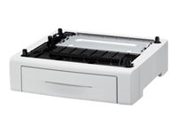 Epson bac d'alimentation - 250 feuilles C12C802671