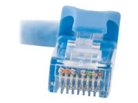 C2G Cat6 Booted Unshielded (UTP) Network Patch Cable - Cordon de raccordement - RJ-45 (M) pour RJ-45 (M) - 50 m - UTP - CAT 6 - moulé, sans crochet, bloqué - bleu 83396