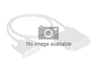 HPE Mini-SAS Cable Kit for SFF Configuration with AROC Controller - Kit de câbles internes SAS - pour ProLiant ML350 Gen10 877575-B21